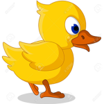 DuckyTheDucks