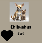Chihuahua cat group