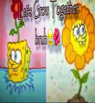 _Muffin kingdom_