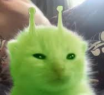 gobcave