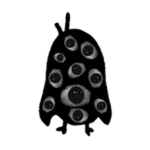 Eyes Bird