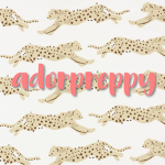 adorpreppy