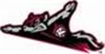 The Flying Squirrels