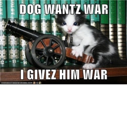 Doges and cats Angout (BETA)