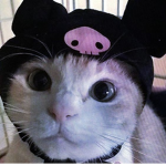 kuromriiiiio