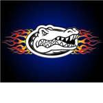 Country Gators