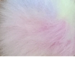 Pom Pom s