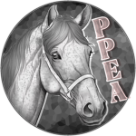 Patience Place Equestrian Academy
