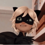 ~Miraculous aesthetic homestore~