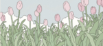 thulip
