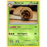 Jungle Burrito Cats