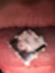 x m y