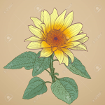 Sunflower Saterdays
