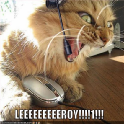 Funny Leeroy Cat picture Roblox decal