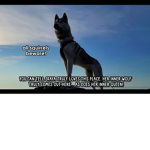 Husky only fan club