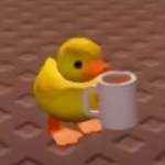 Ducks gangtime