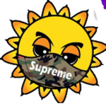 Lit Merch