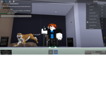 Coltplaysfanclub