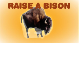Raise a Buffalo