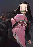 Nezuko team<3