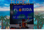 FLORIDA MAIN GROUP