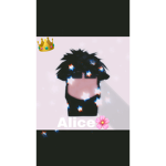 Alice~ally