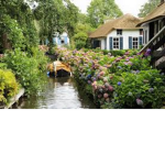 Qfairie garden