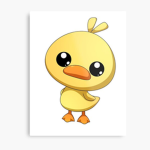 The ducko’s