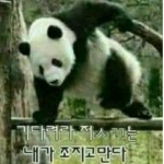 soda패밀리