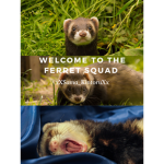 |**~|The Ferret Squad|~**|
