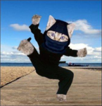 Ninja Kitty Alliance of Pwnage