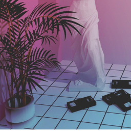 Venus Vibez