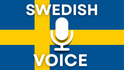 Swedish Voice Chat 🎙️ scripts