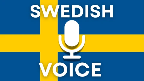 Swedish Voice Chat 🎙️ scripts