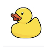 ducky.team