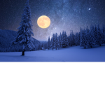 ~Moon Flowers~