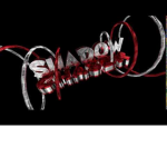 Shadow Chaser