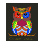 The Colorfulful Owl Group