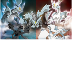OFFICIAL *Pokemon Black And White Fan Group*