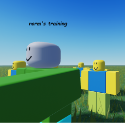 Norm's training