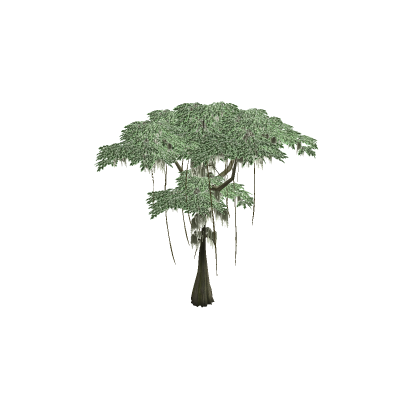 Jungle Tree