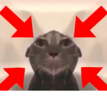 MSMSMSM