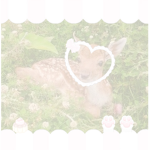~ kitty angels ~