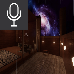 [VOICE CHAT] Rain Room