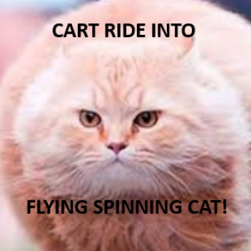 Cart Ride Into Flying Spinning Cat!
