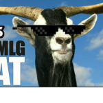 GOAT Fit'in