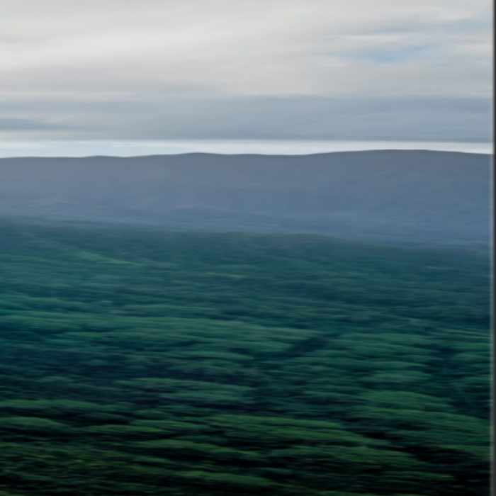 view nine Roblox decal