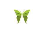 ButterFlyFly Group