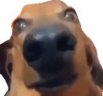 Hexo try not to join this group challenge
