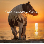 Horse Academy School